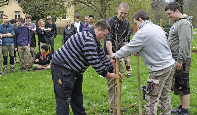 Schler  der Berufsfachschule Holz pfl...nter dem Kreiskrankenhaus Schopfheim.   | Foto: Monika Weber