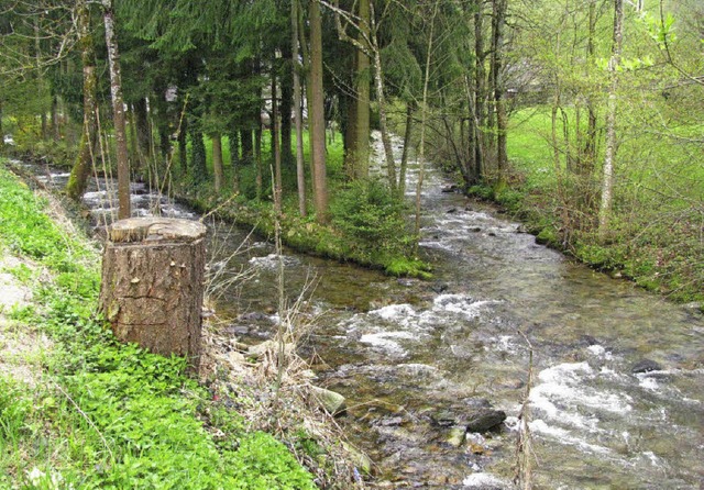 Wasser vom Schauinsland (links) und Wa...vation genug, mehr daraus zu machen.    | Foto: Manfred Lange