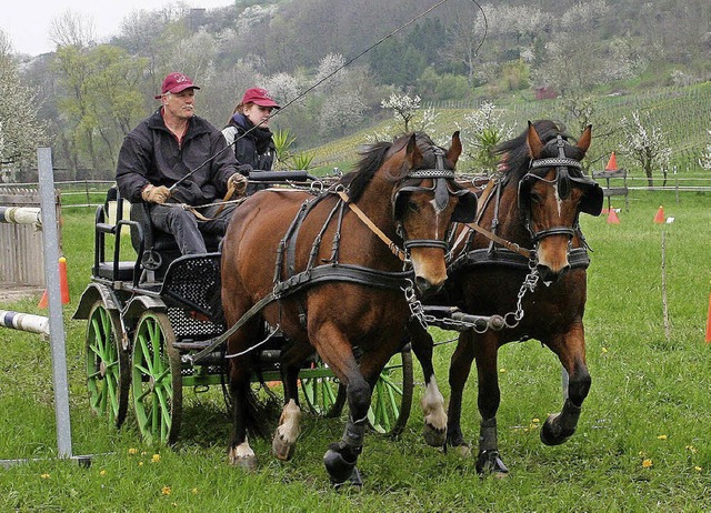 Gekonnt manvrierte Huber Heller aus E...treff in Kleinkems seinen Zweispnner.  | Foto: cremer