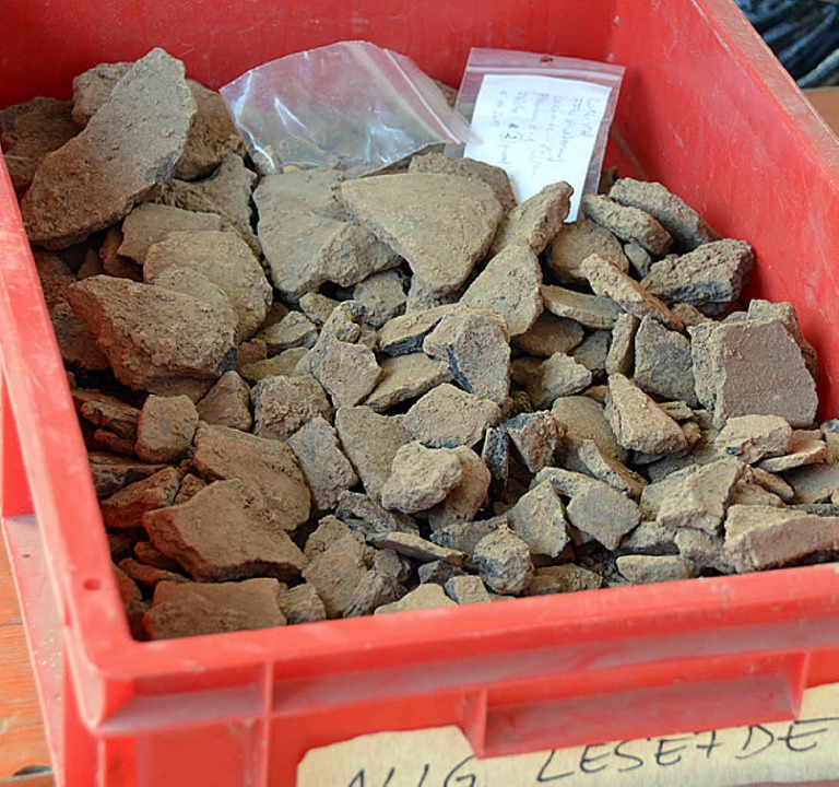 Dunkle Erde ist immer eine Spur - Ettenheim - Badische Zeitung