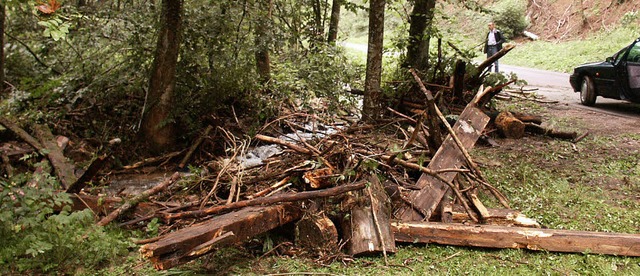 Kein Restholz in den Bach werfen, das ...um allgemeingltigen Standard werden.   | Foto: ZVG