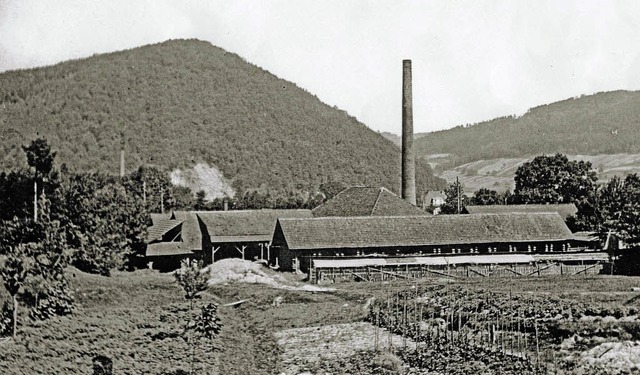 Die Ziegelei Geiser im Jahr 1906 an der Schlsslestrae  | Foto:  Archiv Stadt Waldkirch