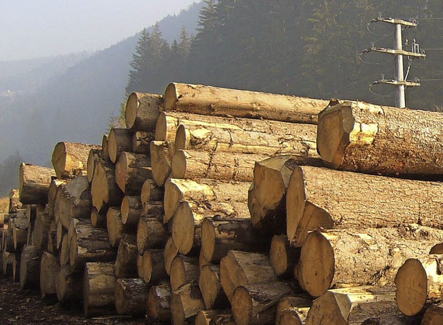 4618 Festmeter Holz aus dem Bernauer Privatwald wurde 2012 verkauft.   | Foto: U. Spiegelhalter