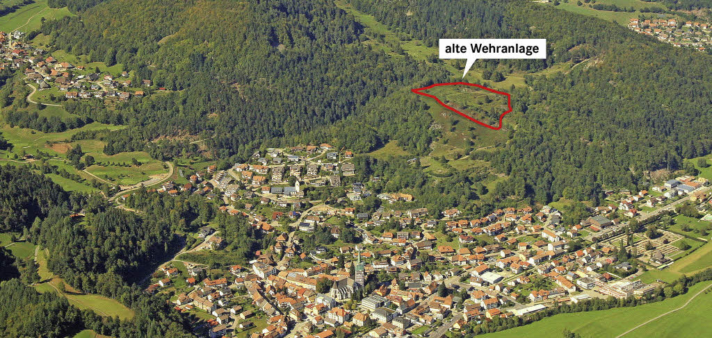 Freie Sicht auf UrSchönau Schönau Badische Zeitung