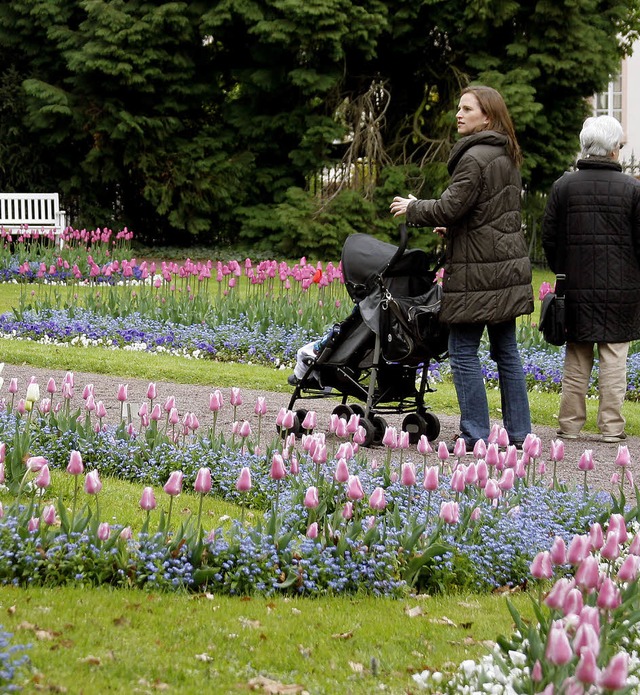 Bltenpracht im Stadtpark: Um sie rich...dtpark noch mehr Spa (unten rechts).   | Foto: fotos: heidi fssel