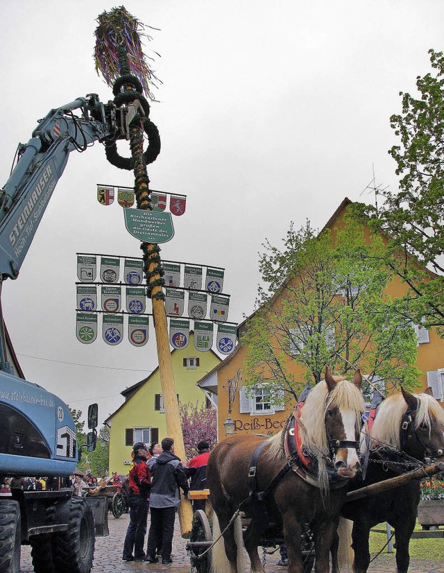 Der Maibaum in Kirchzarten wird aufgerichtet.   | Foto: Monika Rombach
