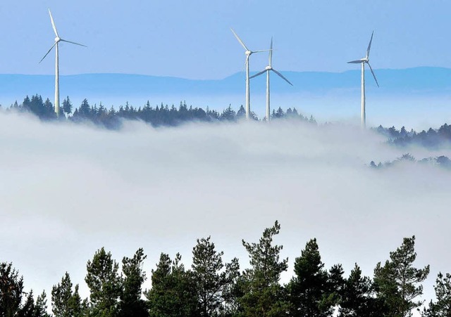 Windrder bei St. Peter  | Foto: dpa