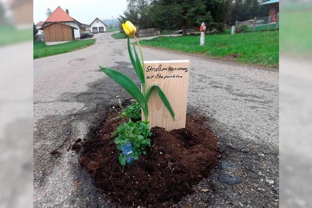 Maischerz in Rickenbach: Guerilla-Gärtner bepflanzen Schlaglöcher