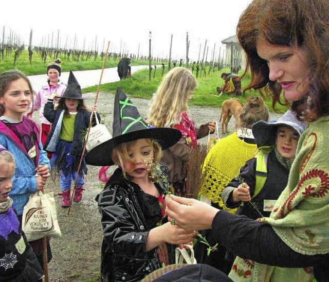 Mit Kruterhexe Arnika ging&#8217;s in...telbrunner Reben zum  Krutersammeln.   | Foto: Manfred Lange