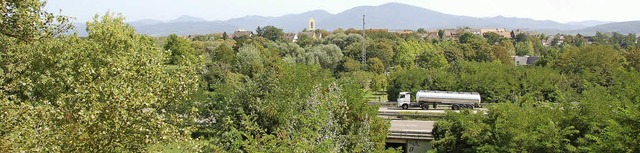 Zwischen Neuenburg und dem Gartenschau...cke, um besser ber die A5 zu kommen?   | Foto: Drescher