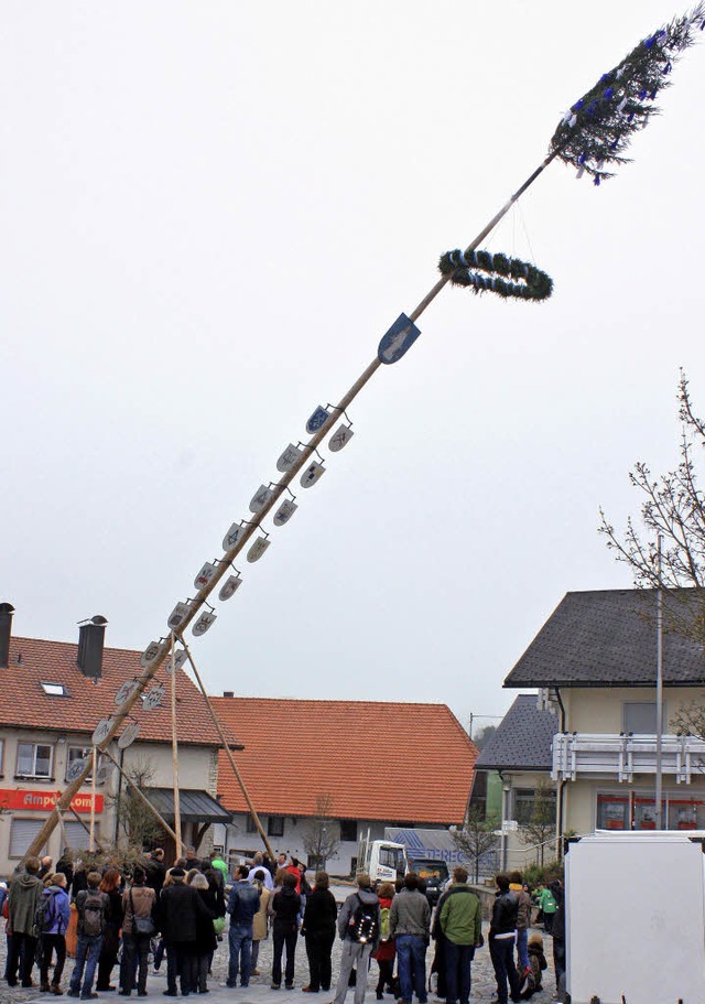 Die letzten Meter noch &#8211; dann stand der  Maibaum in Grafenhausen.  | Foto: Dorothe Kuhlmann