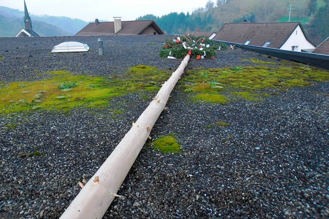 Der beschdigte Baum  | Foto: Polizei