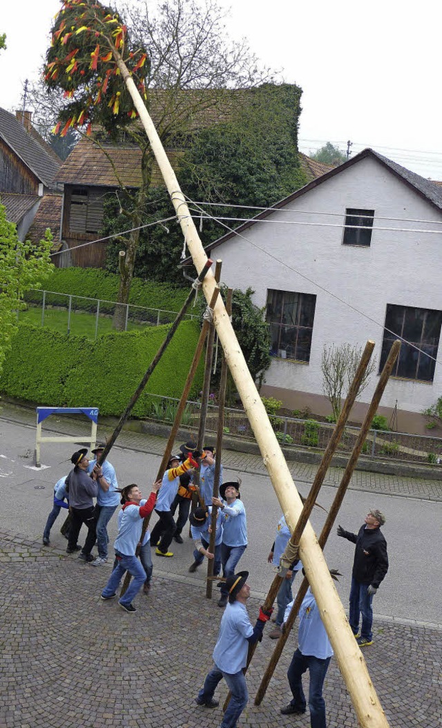 Der 20 Meter hohe Baum forderte die ga...s Publikum war mit Hochspannung dabei.  | Foto: Claudia Bachmann-Goronzy