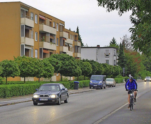 Ob Radfahrer auf der nrdlichen Seite ...sten Sitzung des Gemeinderats zeigen.   | Foto: Rolf Reimann
