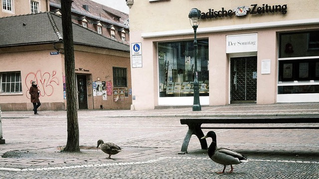 Zeitungsente Badische Zeitung Freiburg  | Foto: Simone Hhl