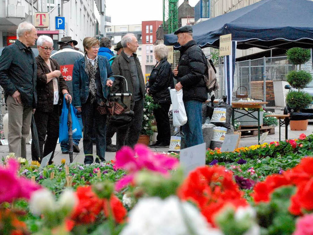 Die bunten Blten des Geranienmarkts bildeten einen Kontrast zum Grau des Himmels