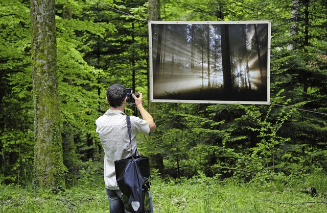 Wald hoch zwei: Riesige Fotos von Frs...aus Echle hingen zwischen den Bumen.   | Foto: thomas Kunz