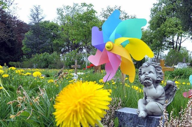 Diebe stehlen Grabbeigaben auf dem Hauptfriedhof