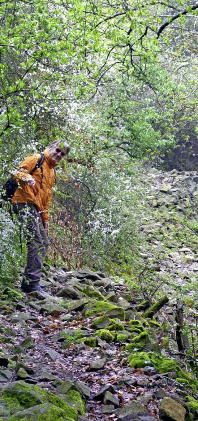 Reste eines Schlosses?  Eher ein groer Haufen Steine<ppp></ppp>   | Foto: Rolf Mller