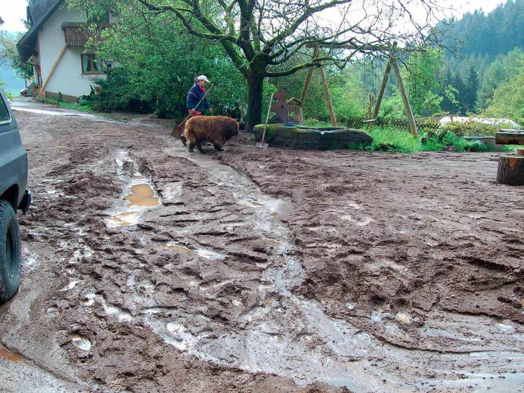 Erdrutsche an den Husern in Elzach