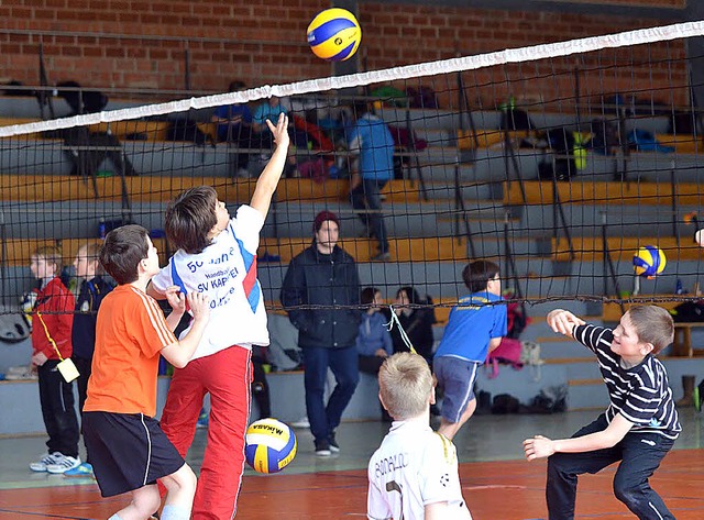 Anders als das Bild von der  Freiburge... machen sich Jungs im Volleyball rar.   | Foto: bz