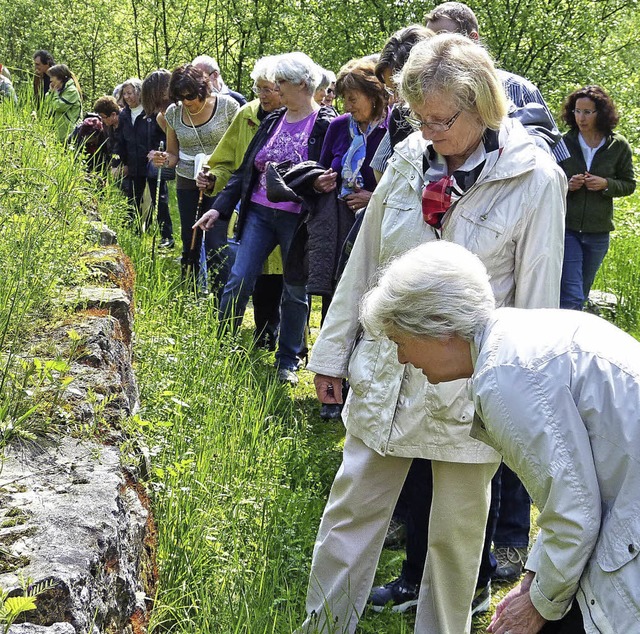 Bei der 3000-Schritte-Wanderung am Son...s grne Klassenzimmer von Rheinfelden.  | Foto: Claudia Gempp