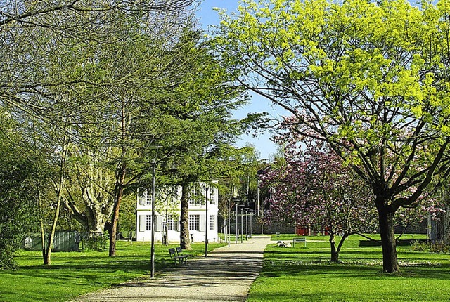 Im Brgerpark wird am Samstag gefeiert.   | Foto: Rderer