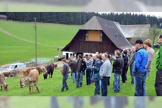 Die richtige Strategie hngt vom Landwirt ab