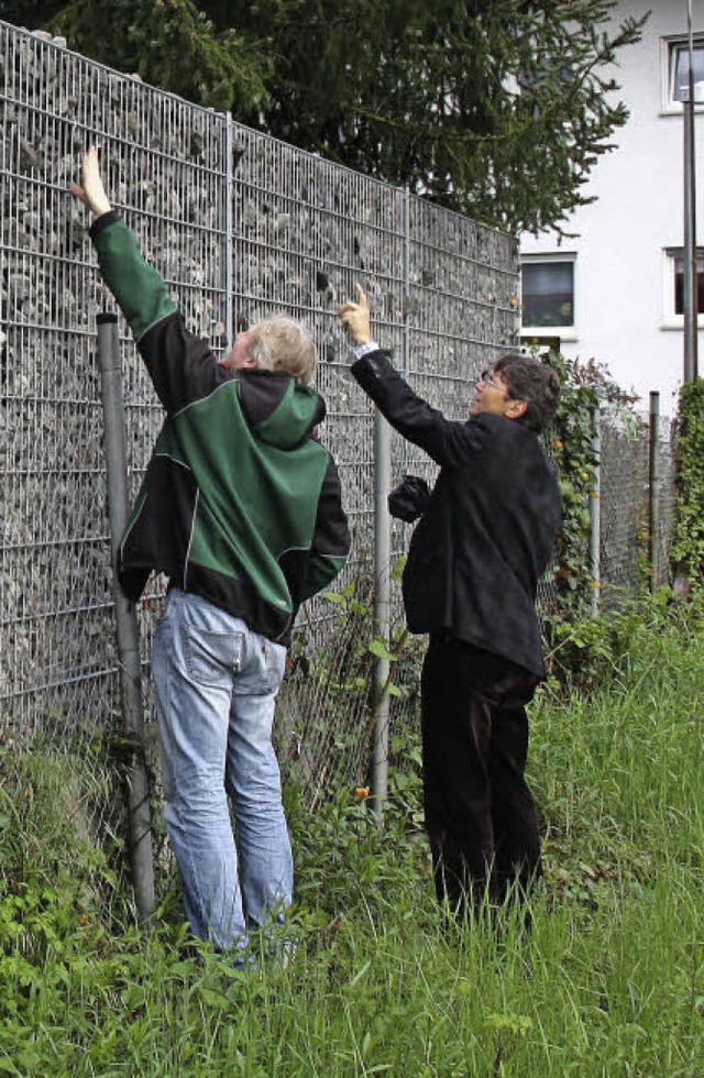 Die neue Schottermauer nahe der Fuhrma... Andreas Hummel genau unter die Lupe.   | Foto: peikert