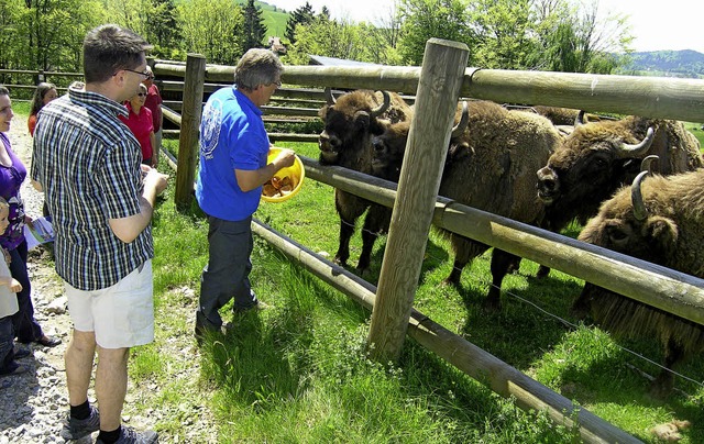 Wie lockt man Besucher an &#8211; und ...etfest, bei dem dieses Foto entstand.   | Foto: Rolf Strohm