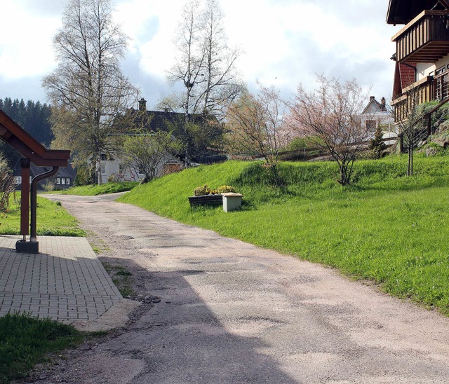 Der Alpenweg auf dem Eisenbacher Hchs...erhlt auch eine neue Bitumenschicht.   | Foto: GERT BRICHTA