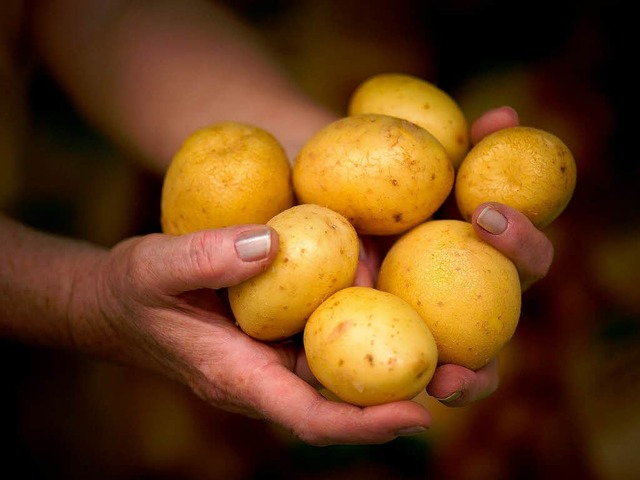 Grolieferanten sollen die Preise fr Kartoffeln abgesprochen haben.  | Foto: dpa