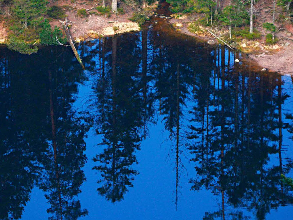 Nationalpark Nordschwarzwald: Badener pro – Schwaben kontra - Südwest ...