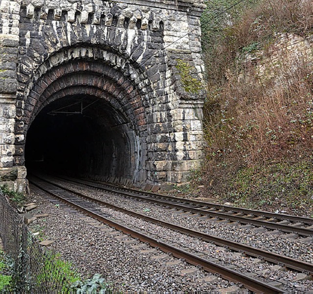 Die Bahn will 2014 in den Isteiner Tun...se, Schwellen und Unterbau erneuern.    | Foto: langelott