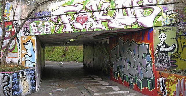 Graffitis verschiedenster Qualitt an der Paduaallee   | Foto: privat