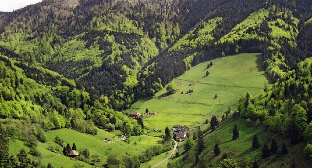 Knnen, sollen, mssen solche Flchen ...ormationsveranstaltung in Mnstertal.   | Foto: Manfred Lange