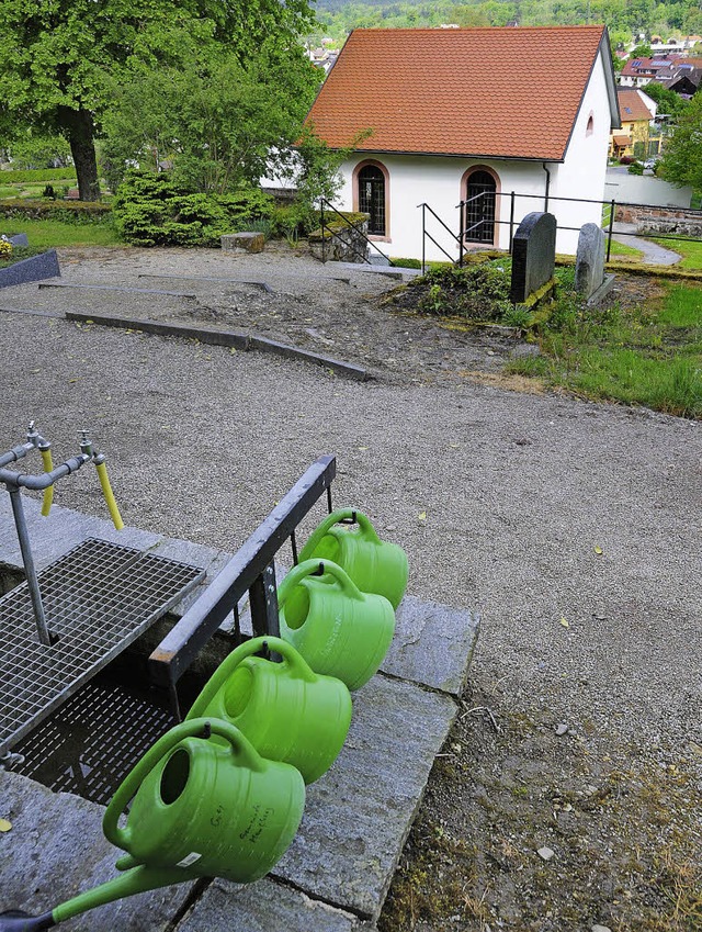 Fr rund 15000 Euro neu gestalten will...den frheren Standort der Blutbuche.    | Foto: Robert Bergmann