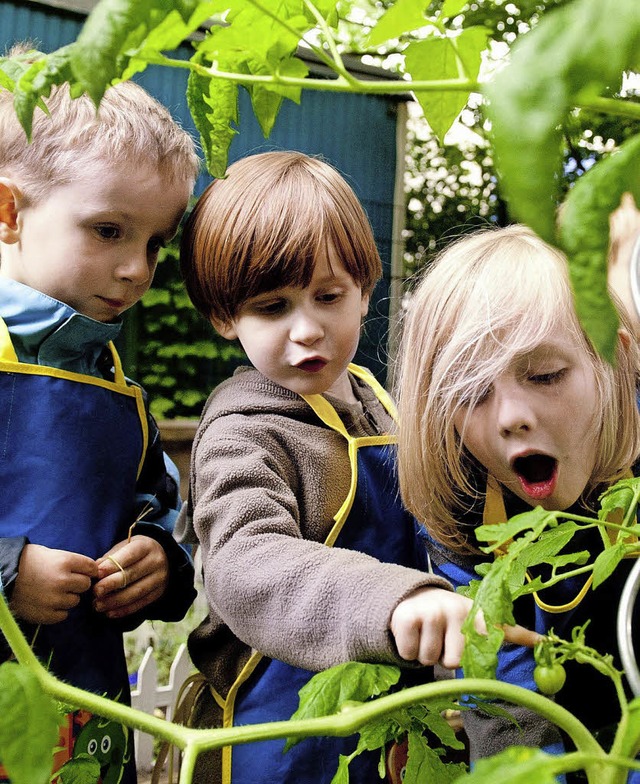 Eine klitzekleine grne Tomate begeist...gende Gebhren interessiert sie nicht.  | Foto: dpa