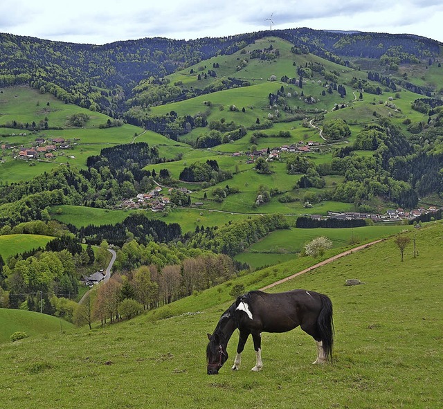 Frhnder Ortsteile Kastel, Ober- und N...rteil eines Unesco-Biosphrengebiets.   | Foto: Paul Berger