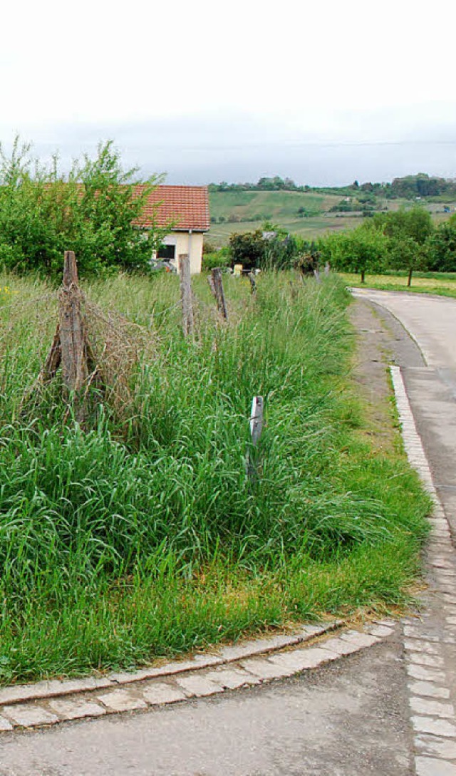 Auf der Wiese entlang der Rebenstrae ...ingen werden 18 Baupltze geschaffen.   | Foto: mink