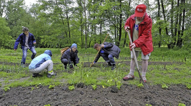 Anpacken: In Weingarten wird gemeinsam im Klimagarten gewerkelt.  | Foto: Michael Bamberger