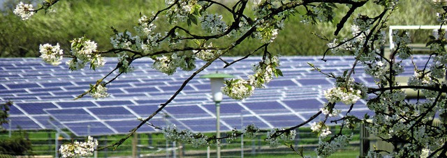 Hier in Appenweier funktioniert bereits ein Solarpark. Weitere sollen folgen.   | Foto: PR