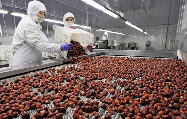 Chinesische Erdbeeren vor dem Export   | Foto: dpa