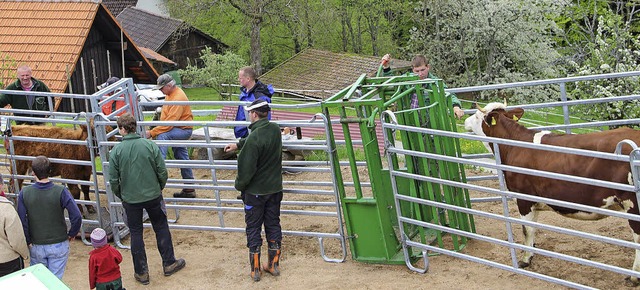 Bewhrt haben sich beim Weideverband M...elt wird, die mobilen Auftriebsgatter.  | Foto: Rolf-Dieter kanmacher