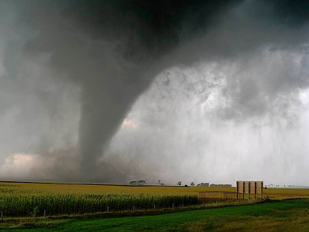 Контракт tornado трек