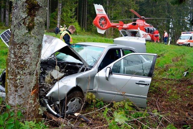 Tagesfahrt endet am Baum