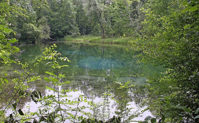 Bei einem Fliepolder knnten auch die Quelltpfe und Gieen saniert  werden.   | Foto: archiv:Bianka Pscheidl