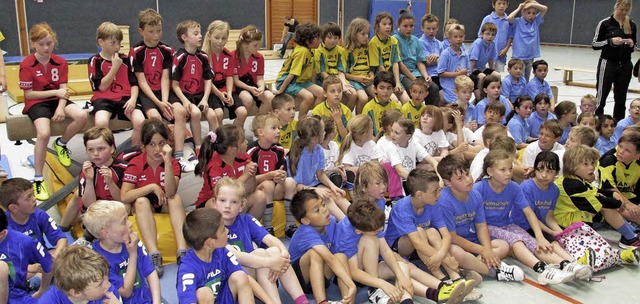 Groer Andrang herrschte beim Handballturnier von Jugend trainiert fr Olympia.   | Foto: Privat