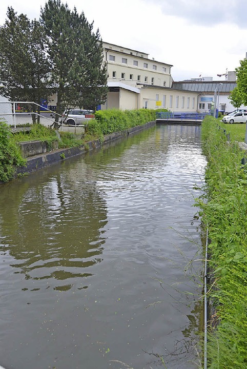 Kanal an der Ötlinger Straße.  | Foto: Sabine Ehrentreich