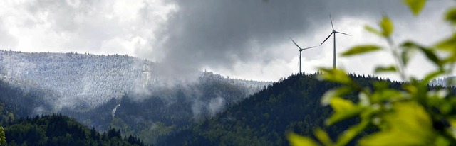 Dieses Foto wurde am 24. Mai 2013 gema...eiste war da mittags schon wieder weg!  | Foto: Michael Bamberger